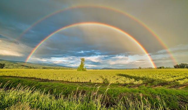 FOTO: Acker mit doppeltem Regenbogen